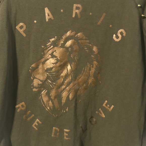 Express 3/4 Sleeve Green and Gold Lion Paris Sweater - Picture 2 of 6
